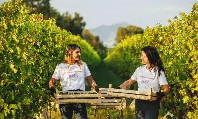 A Lazise del Garda la Festa della Vendemmia