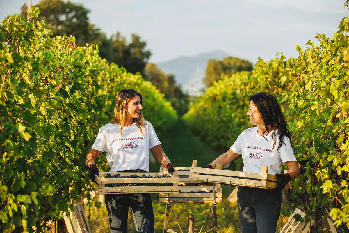 A Lazise del Garda la Festa della Vendemmia