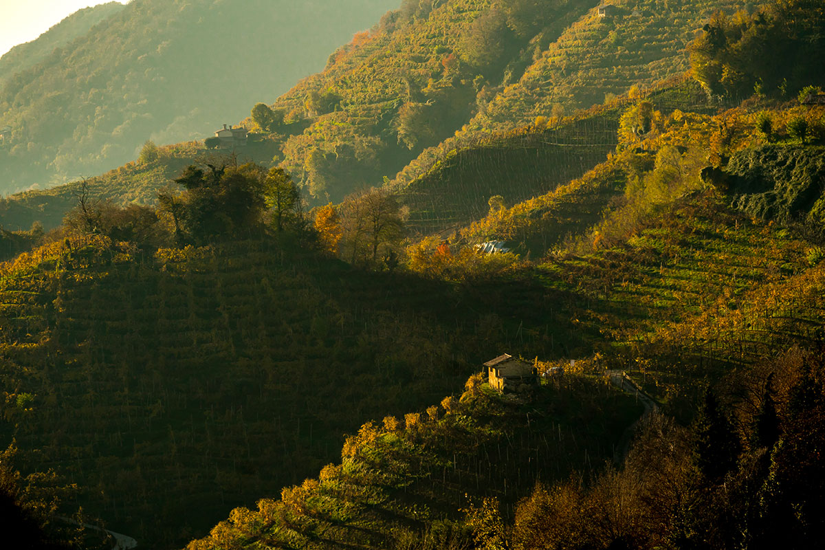 L’omaggio di Andreola alle Rive del Valdobbiadene Docg