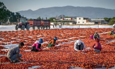 Lavoro sommerso: i numeri in Italia