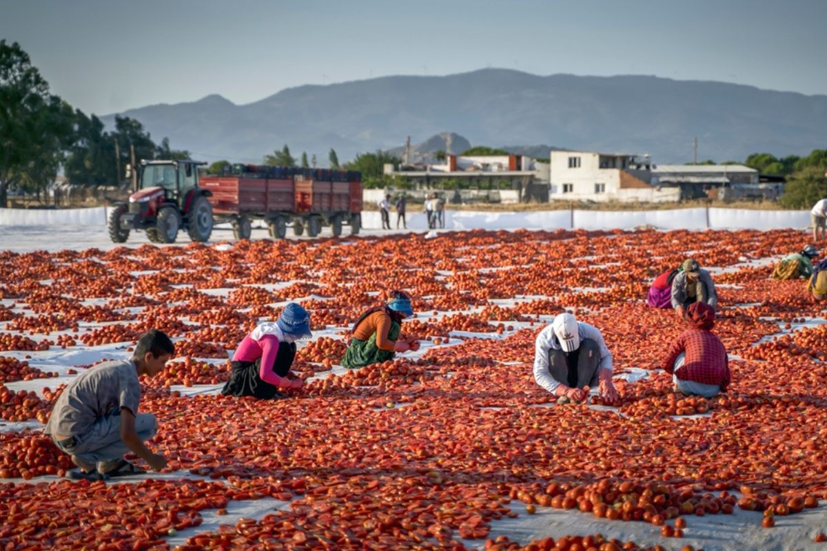 Lavoro sommerso: i numeri in Italia