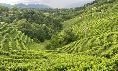 Andreola: Prosecco? No, Valdobbiadene