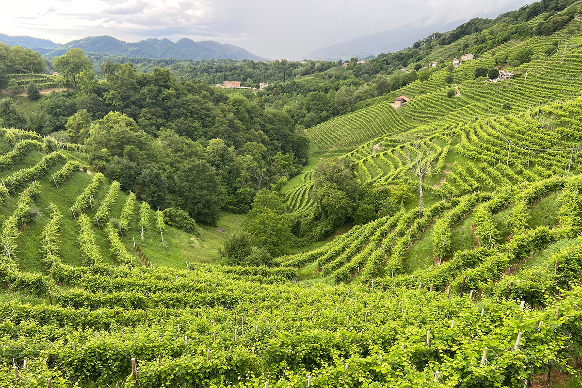 Andreola: Prosecco? No, Valdobbiadene