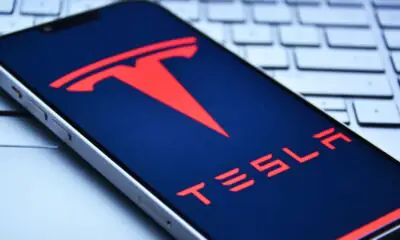 Tesla, titolo in caduta libera e vendite in calo in Cina